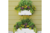 Cottage balcony flower box with self watering system 50 cm