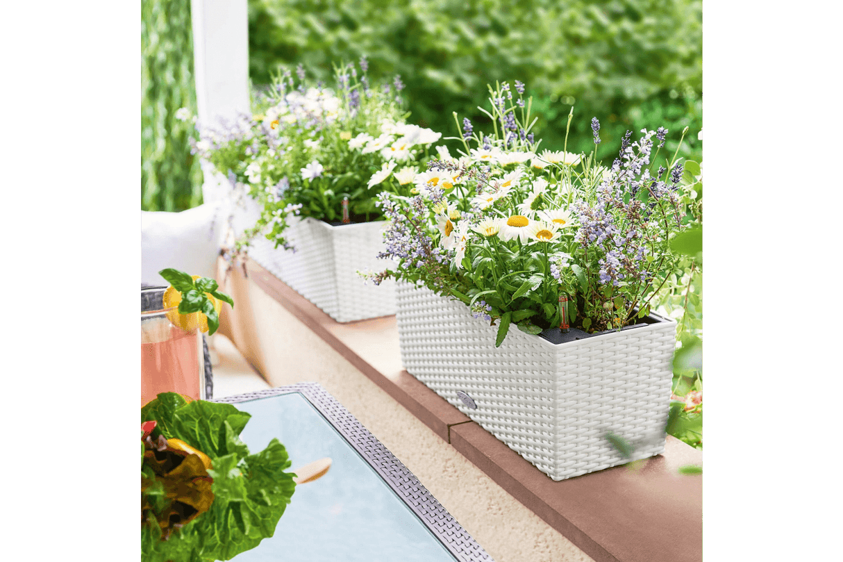 Cottage balcony flower box with self watering system 50 cm