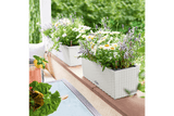 Cottage balcony flower box with self watering system 50 cm