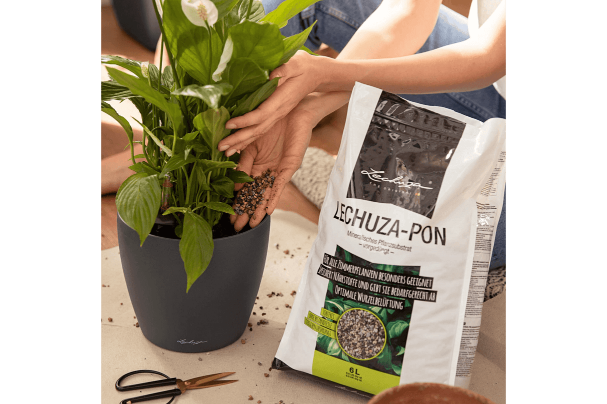Pon plant nutrition 3 L / 6 L