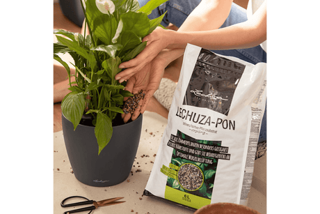 Pon plant nutrition 3 L / 6 L
