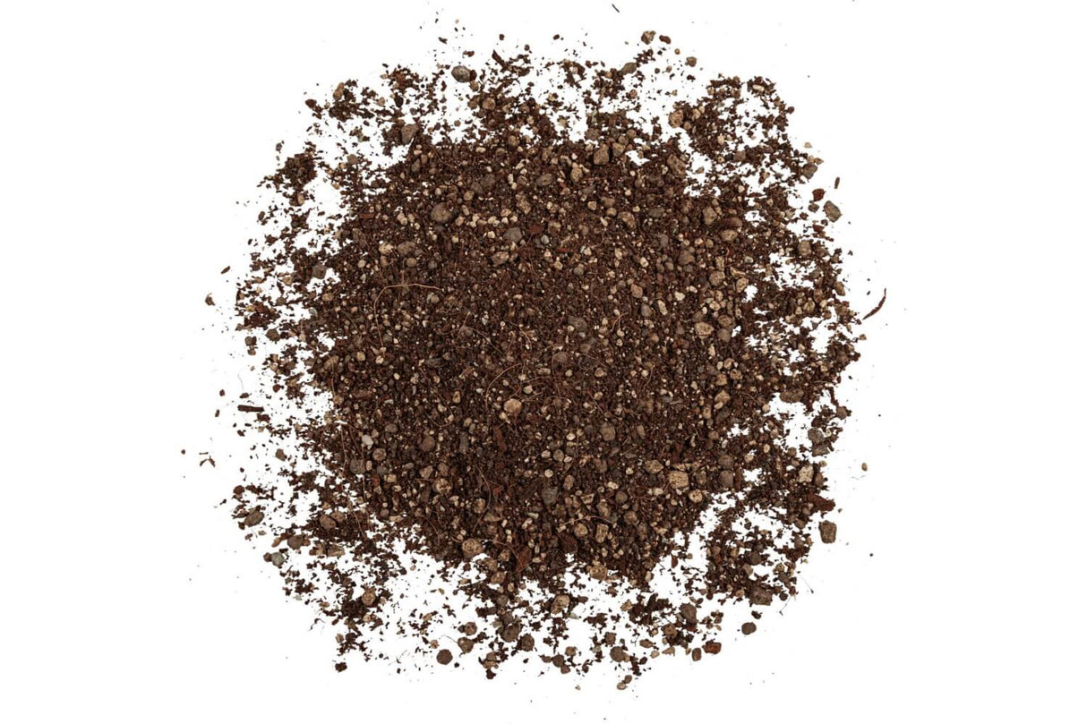 Terrapon plant nutrition 6 liter