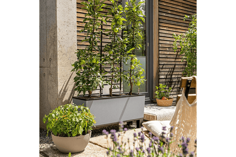 Trellis for Trio stone planter