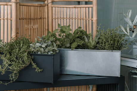 Liva black balcony flower box without brackets 60 / 80 / 100 cm