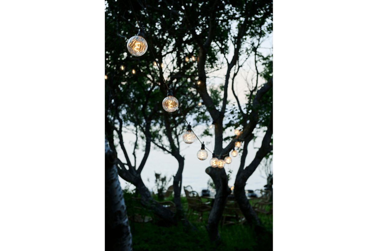 Luke starter kit 10 clear light bulbs