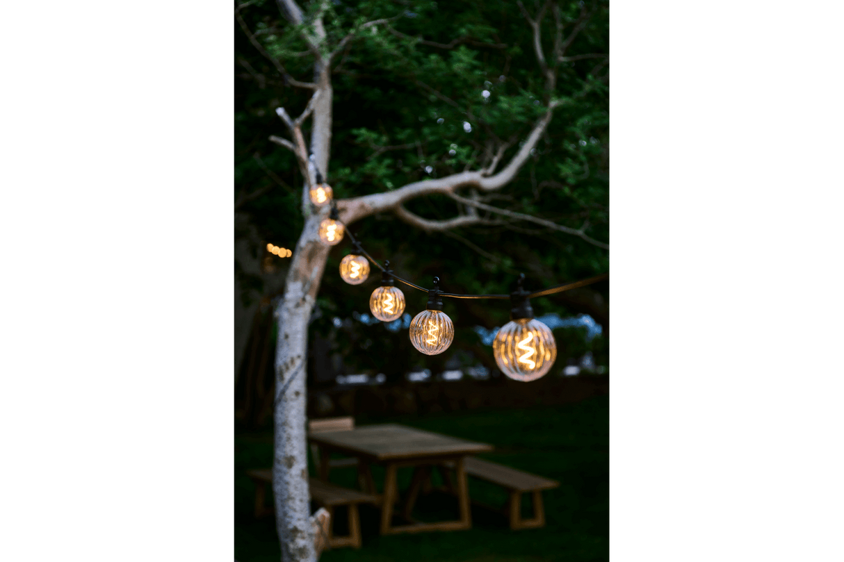 Luke supplement kit 10 clear light bulbs