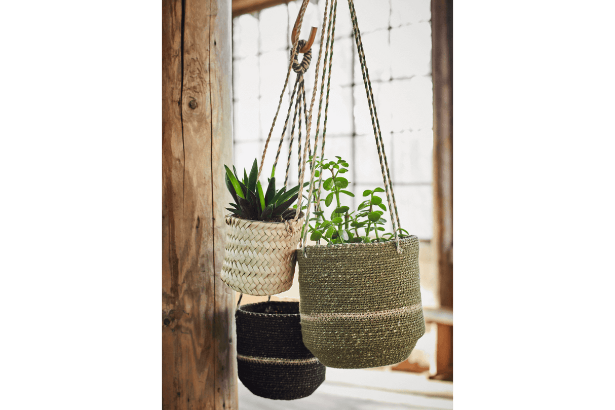 Hanging basket in seagrass