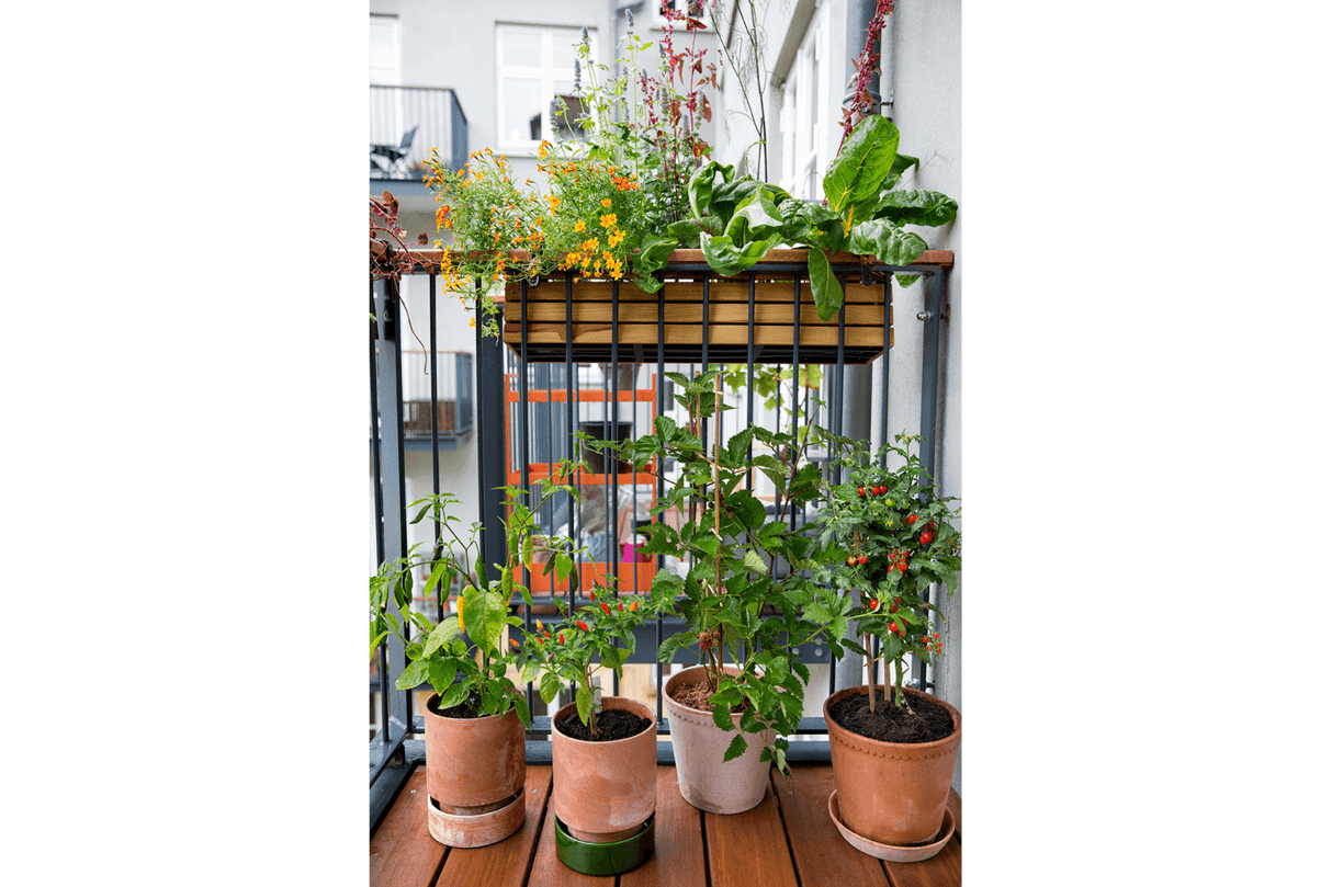 Maja teak balcony flower box 40 / 60 / 80 cm