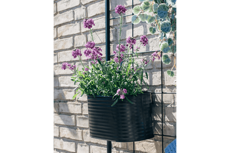 Ovalina Rillo black plant box for wall grid 30 x 17 cm