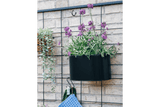 Ovalina black plant box for wall grid 30 x 17 cm
