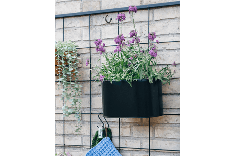 Ovalina black plant box for wall grid 30 x 17 cm