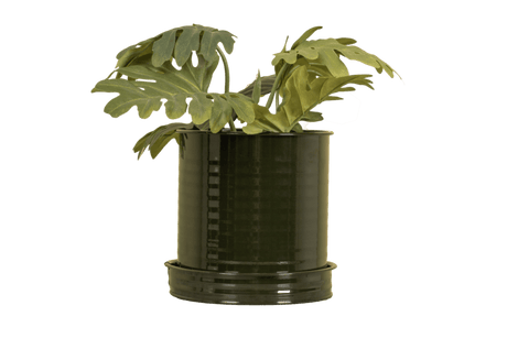 Rita Rillo flowerpot Ø17 cm