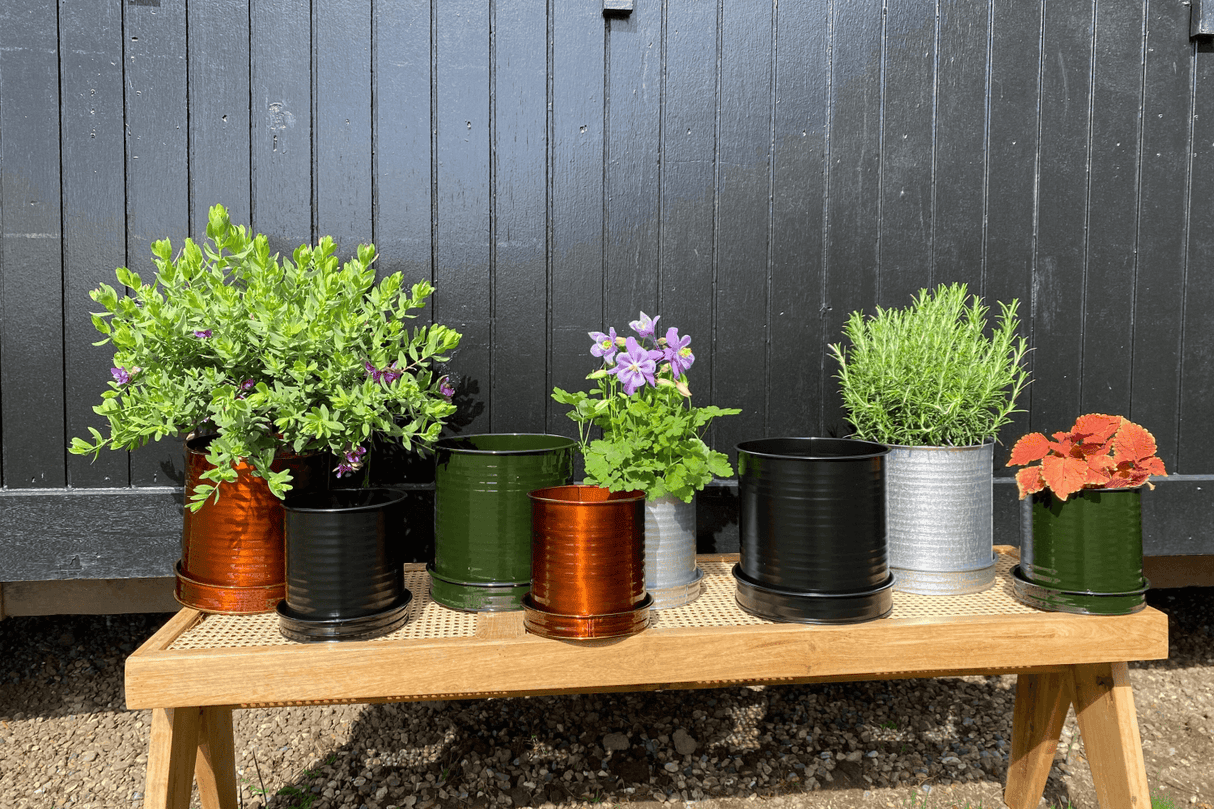 Rita Rillo flowerpot Ø17 cm