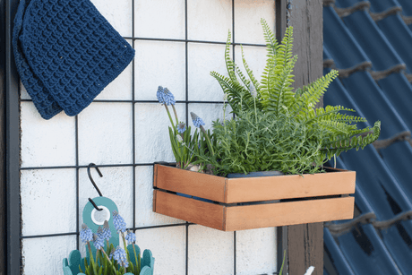 Mille teak plant box for wall grid 30 x 21 cm