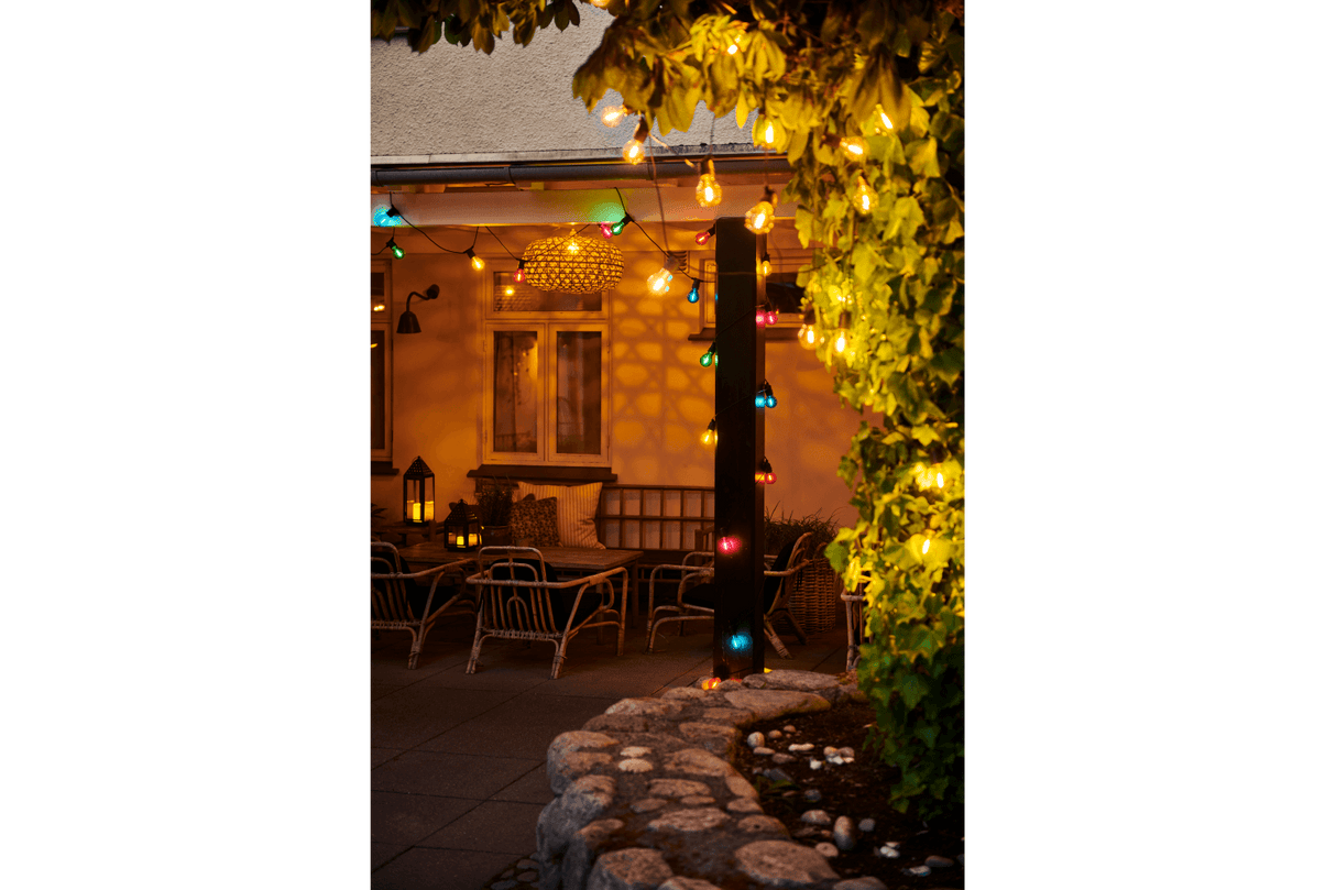 Tobias starter kit 10 coloured light bulbs