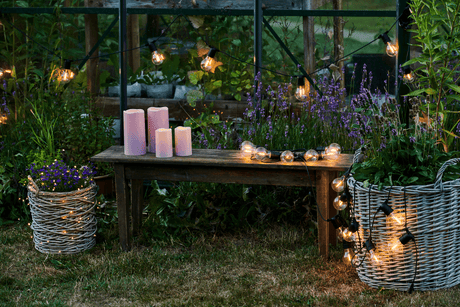 Tobias supplement kit 10 clear light bulbs