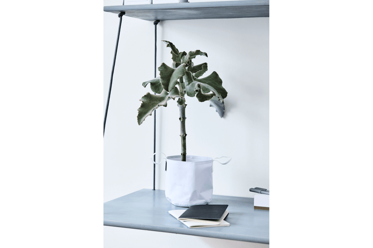 Vertical hanging flowerpots for wall and ceiling