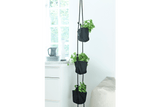 Vertical hanging flowerpots for wall and ceiling
